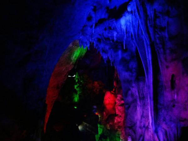 《幻兽帕鲁》棉悠悠捕捉位置介绍